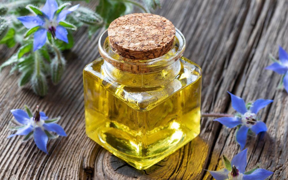 Lợi ích của dầu hạt lưu ly với làn da phụ nữ
