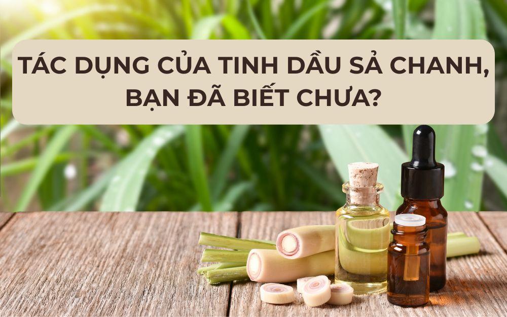 Tác dụng của tinh dầu sả chanh, bạn đã biết chưa?