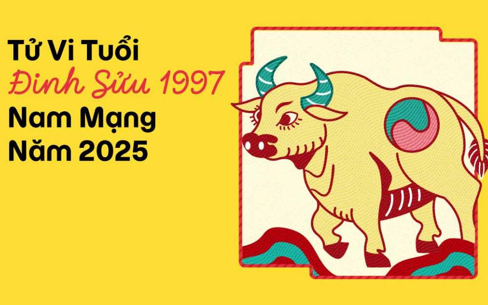 Tử vi tuổi Đinh Sửu 1997 nam mạng năm 2025 (Ất Tỵ)