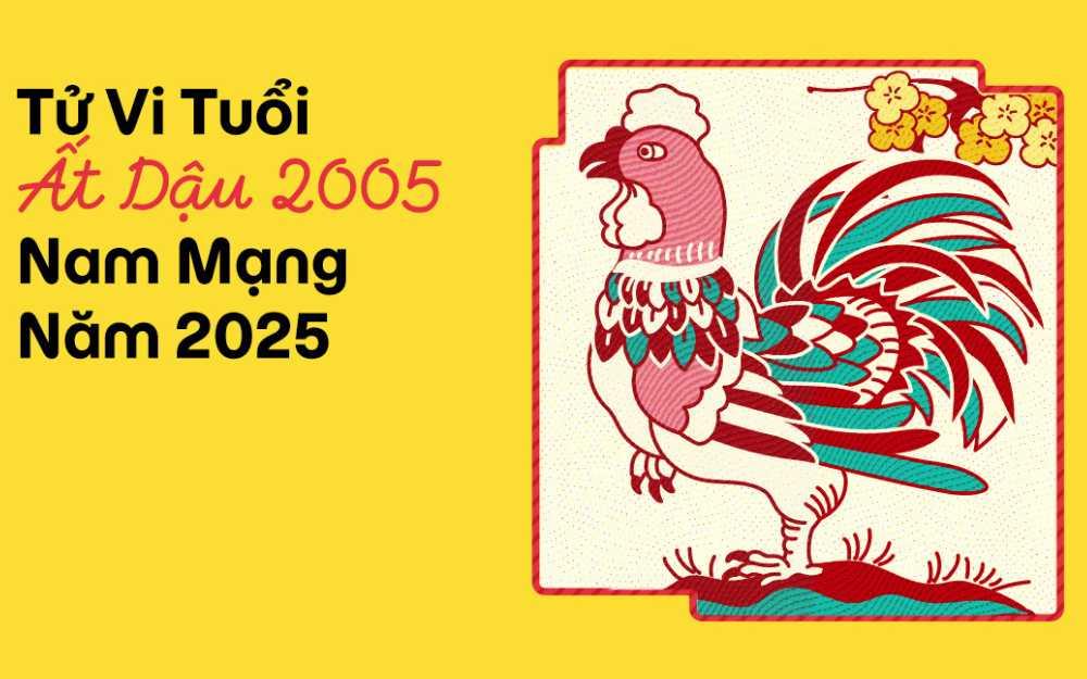 Tử vi tuổi Ất Dậu 2005 nam mạng năm 2025 (Ất Tỵ)