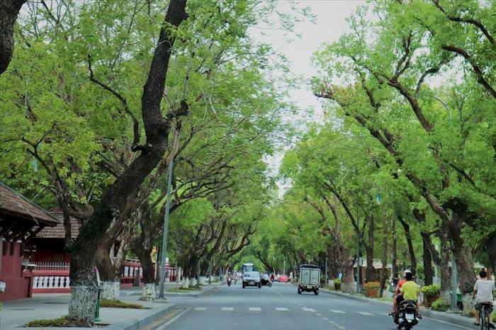 Đi Huế tháng mấy đẹp nhất? Bật mí “thời gian vàng” du lịch Cố Đô