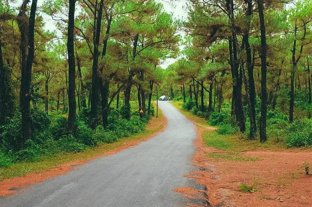 Đồi Thi&ecirc;n An l&agrave; địa điểm chụp ảnh ở Huế được giới trẻ y&ecirc;u th&iacute;ch